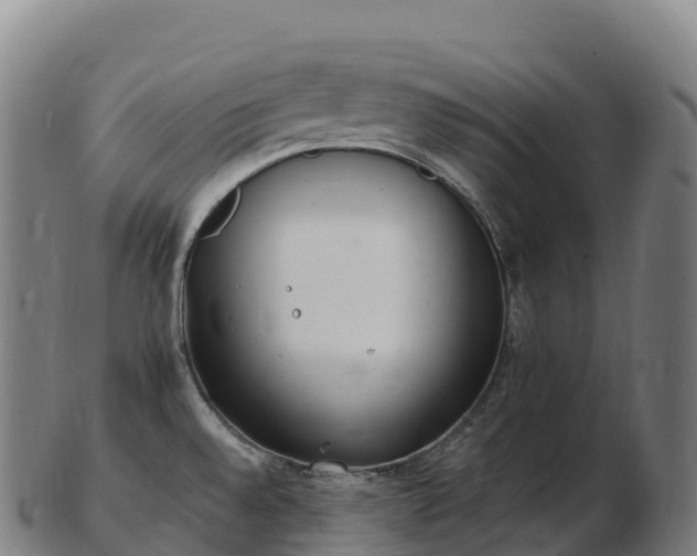 X0000103331528200809121159