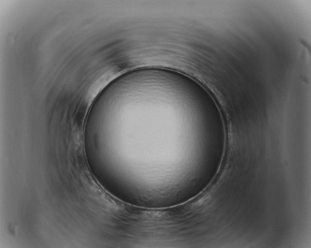 X0000103331529200809121159