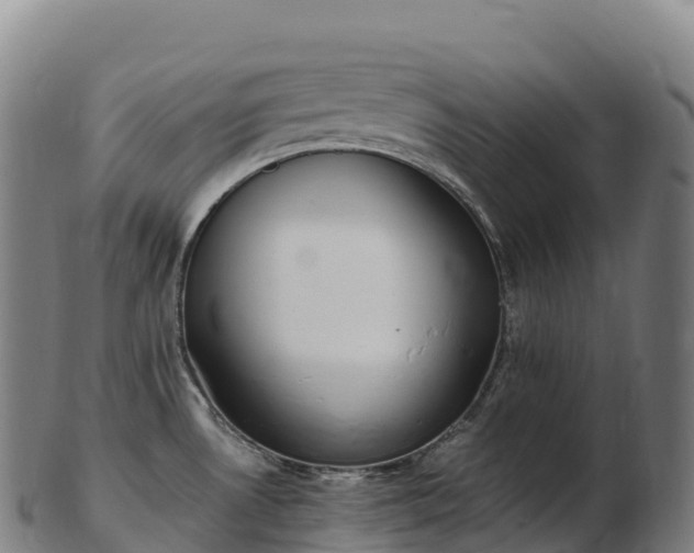 X0000103331530200809121159