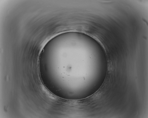 X0000103331532200809121159