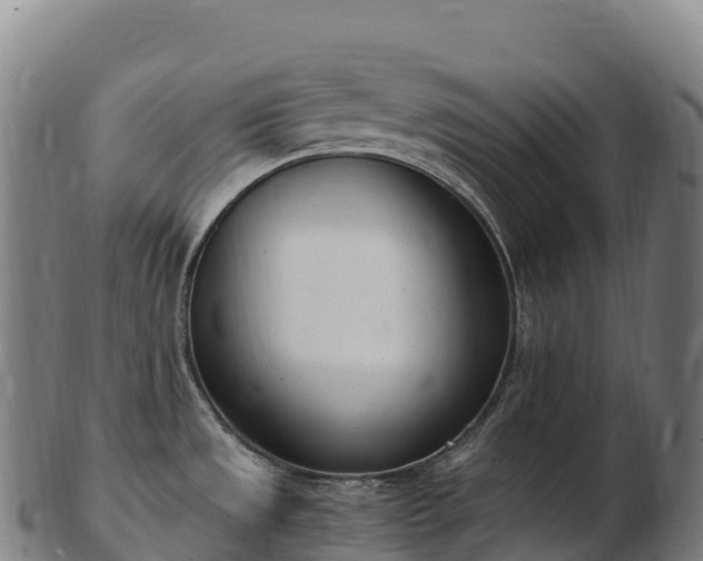 X0000103331533200809121159