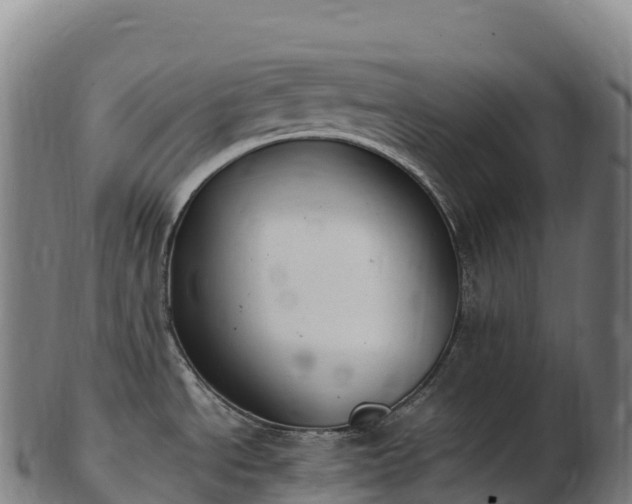 X0000103331534200809121159