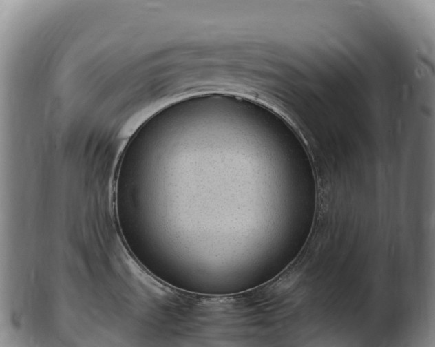 X0000103331535200809121159