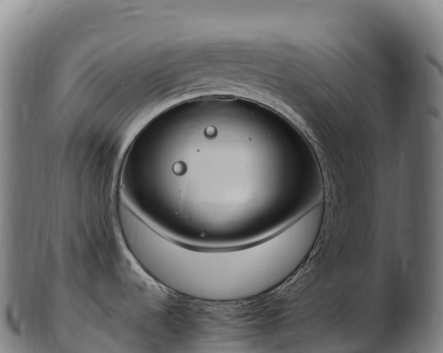 X0000103331536200809121159