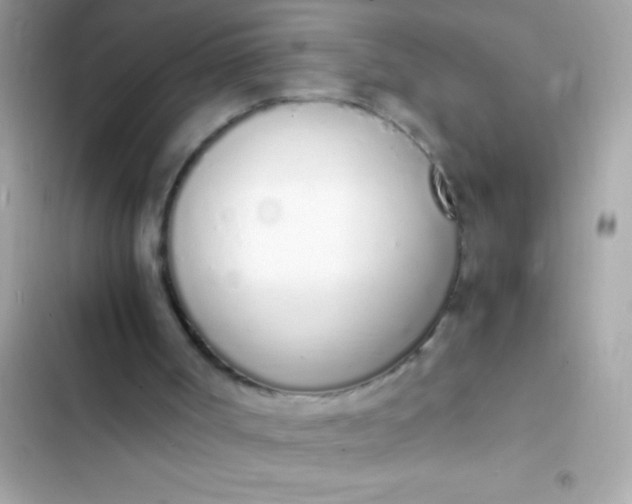 X0000103330002200809192215