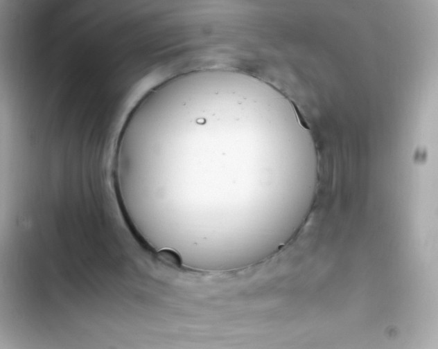 X0000103330003200809192215