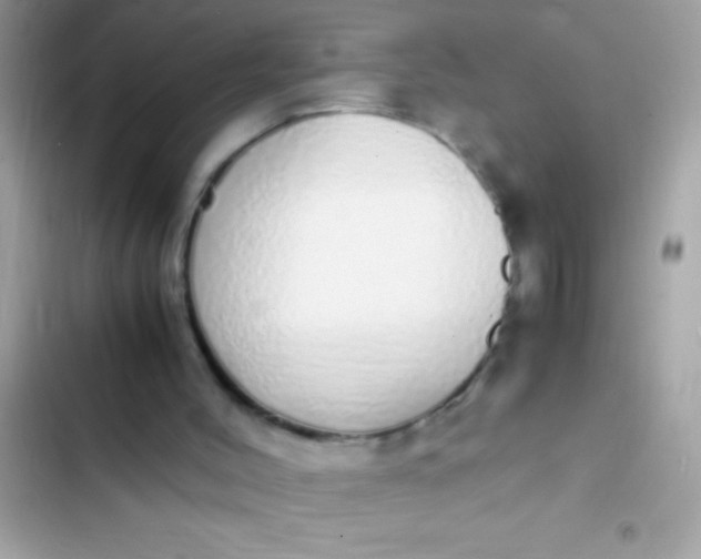 X0000103330004200809192215