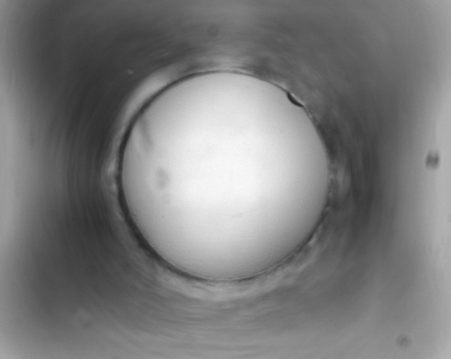 X0000103330006200809192215