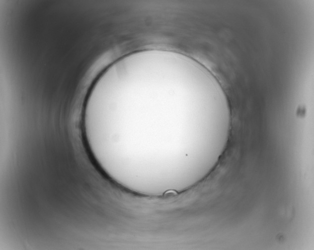 X0000103330007200809192215