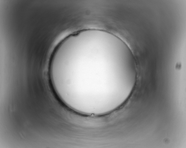 X0000103330008200809192215