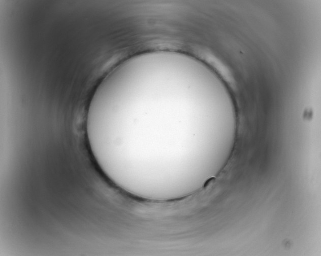 X0000103330009200809192215