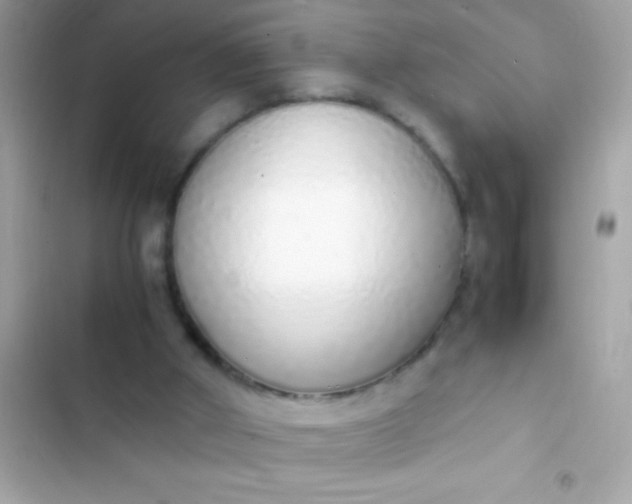 X0000103330010200809192215