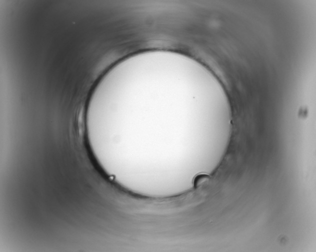 X0000103330011200809192215