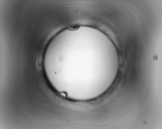 X0000103330012200809192215