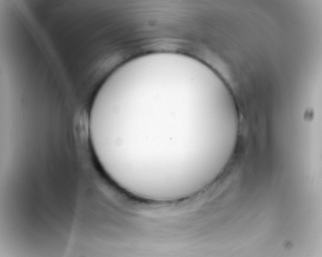 X0000103330013200809192215