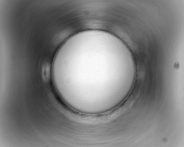 X0000103330014200809192215