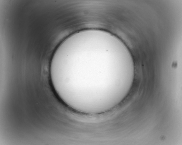 X0000103330015200809192215