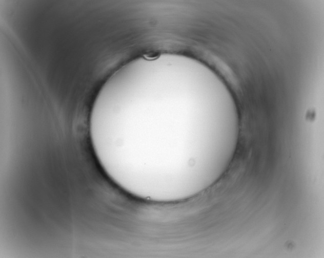 X0000103330017200809192215