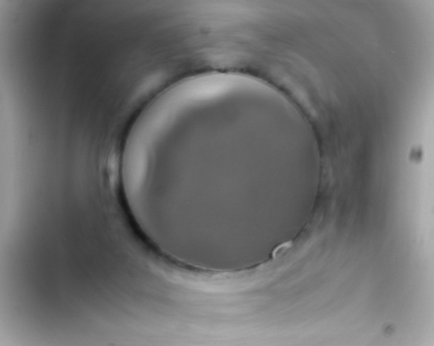 X0000103330019200809192215