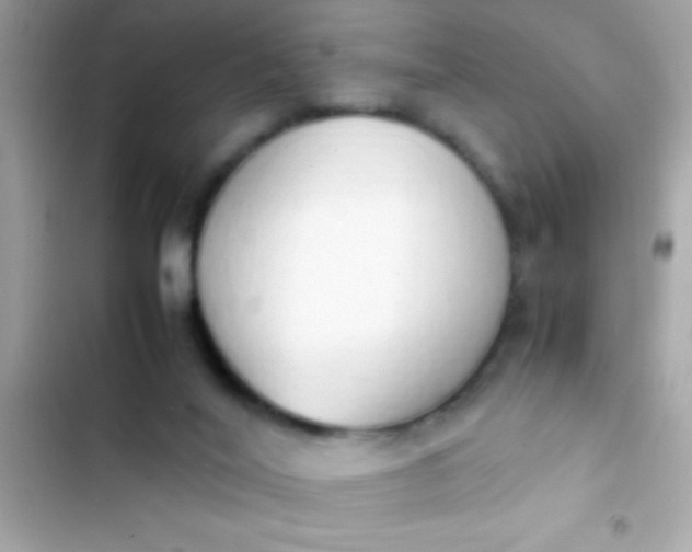 X0000103330020200809192215