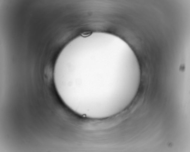 X0000103330021200809192215