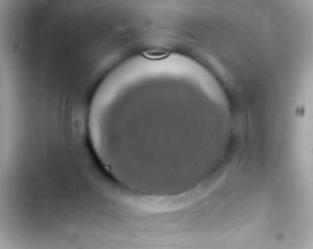 X0000103330023200809192215