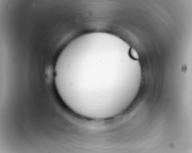 X0000103330024200809192215