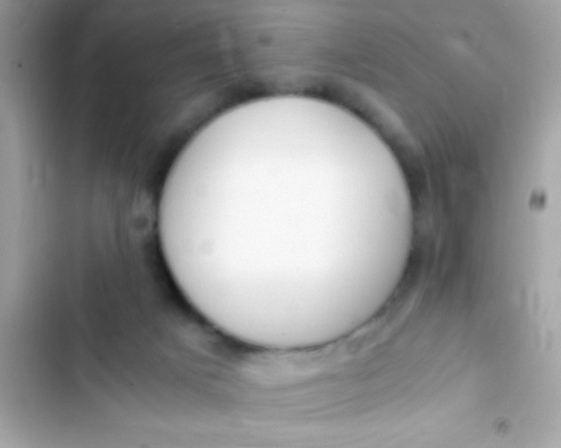 X0000103330025200809192215