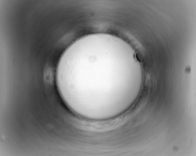 X0000103330026200809192215