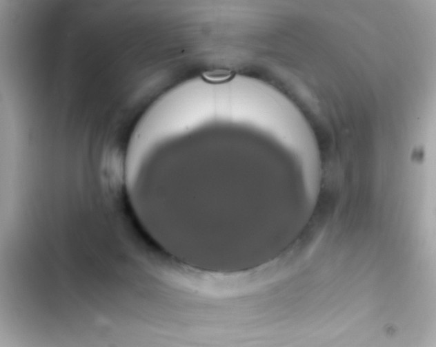 X0000103330027200809192215