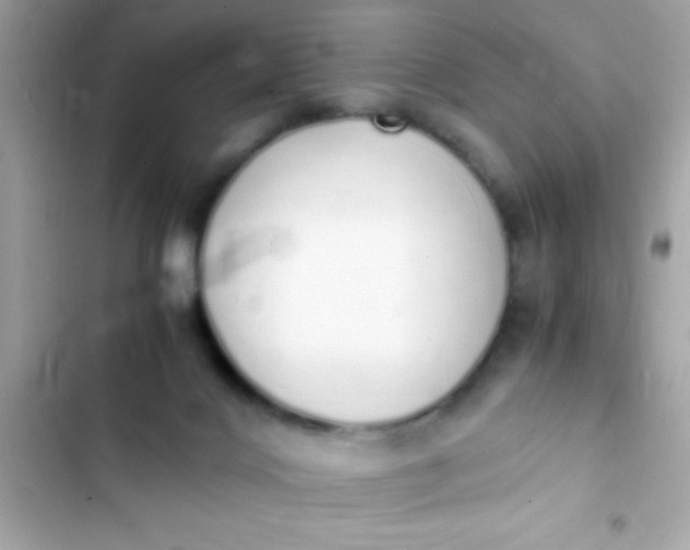 X0000103330028200809192215