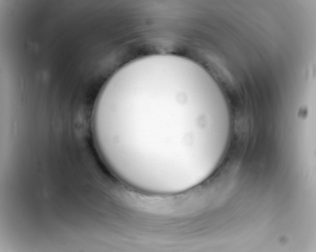 X0000103330030200809192215