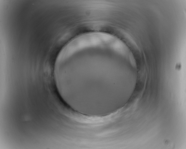 X0000103330031200809192215