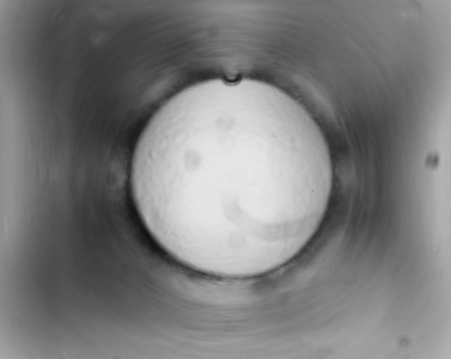 X0000103330032200809192215