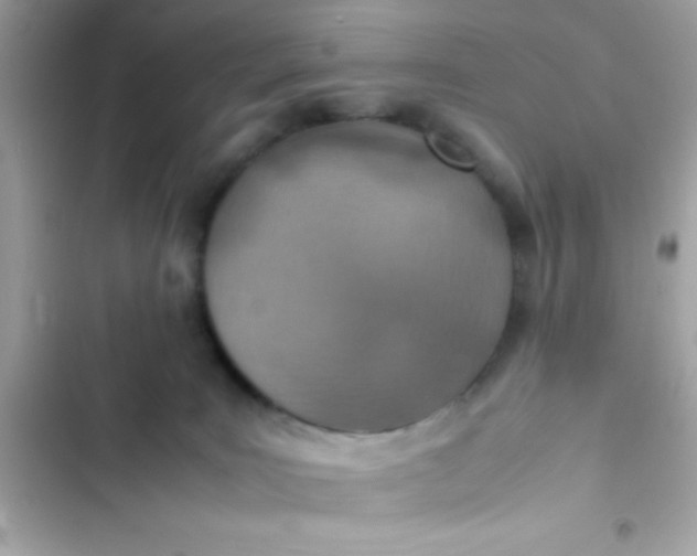 X0000103330035200809192215