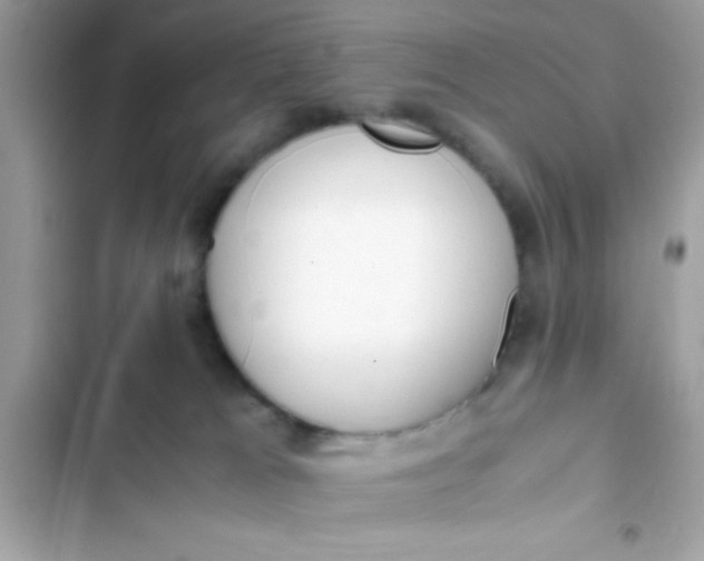 X0000103330037200809192215