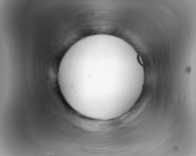 X0000103330040200809192215