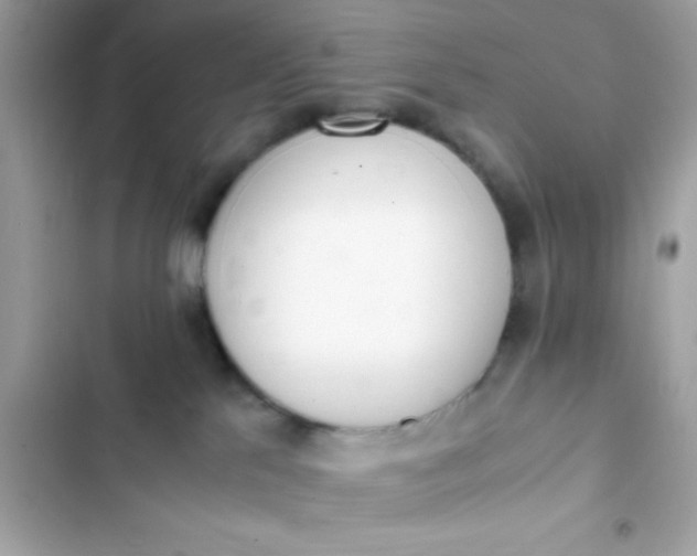 X0000103330041200809192215