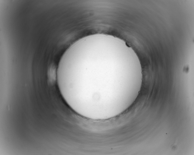 X0000103330042200809192215