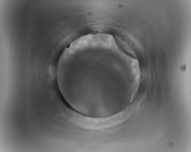 X0000103330043200809192215