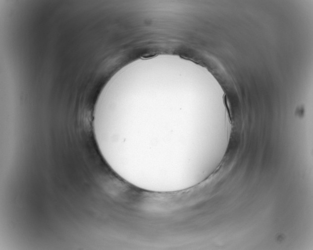 X0000103330045200809192215