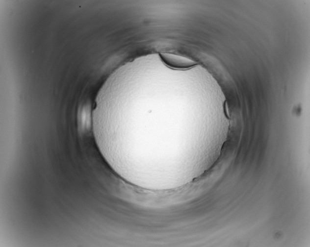 X0000103330046200809192215