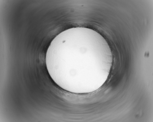 X0000103330048200809192215