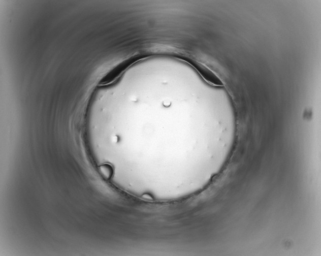 X0000103330049200809192214