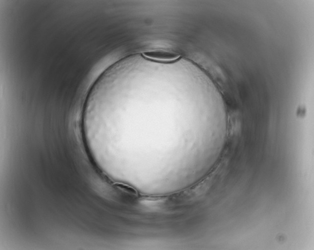 X0000103330051200809192214