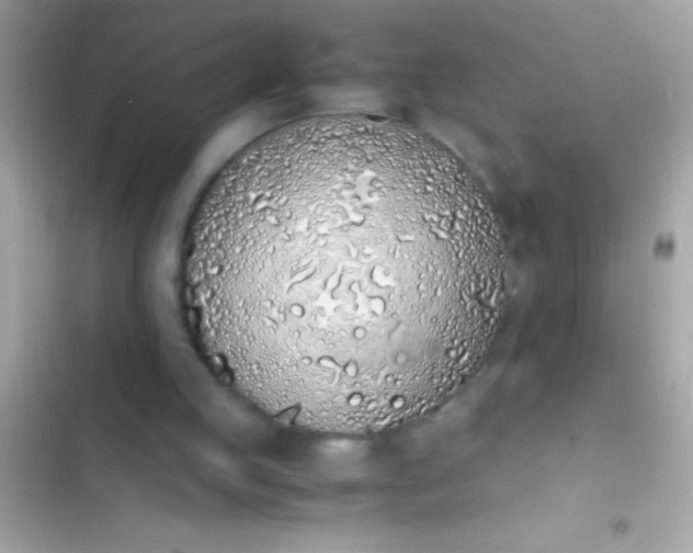 X0000103330053200809192214