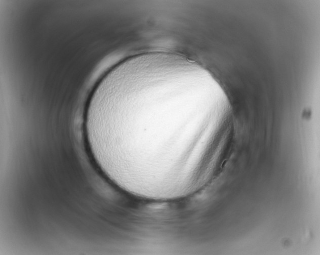 X0000103330054200809192214