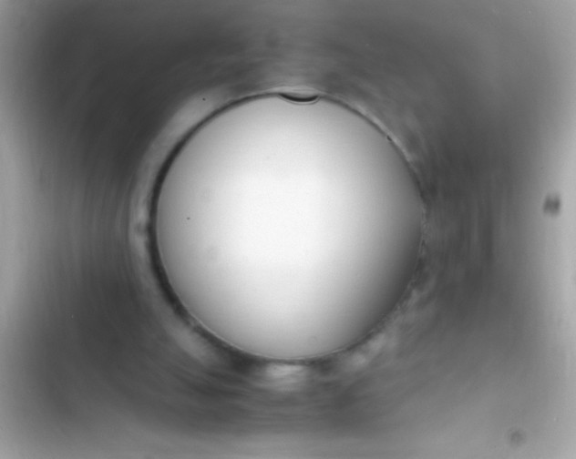 X0000103330055200809192214