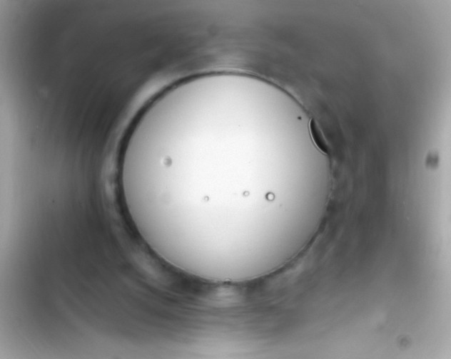 X0000103330056200809192214