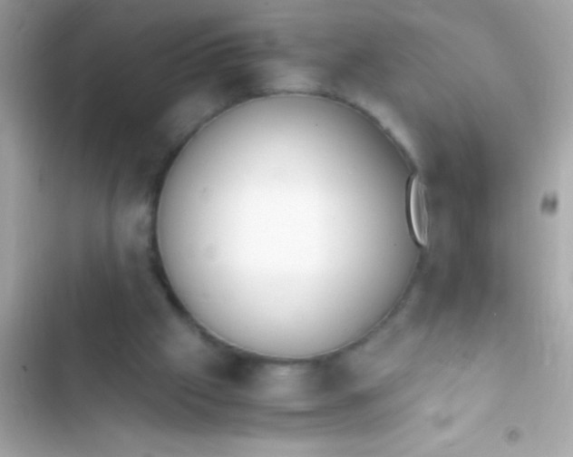 X0000103330057200809192214